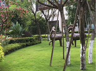 園林養(yǎng)護(hù)