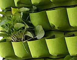 種植袋式植物墻的主要問題