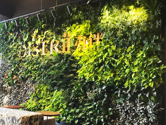 上海張江辦伴聯(lián)合辦公空間科苑大廈綠植墻工程