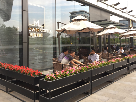 麥隆咖啡虹橋旗艦店/濱江店室外綠化施工與養(yǎng)護(hù)