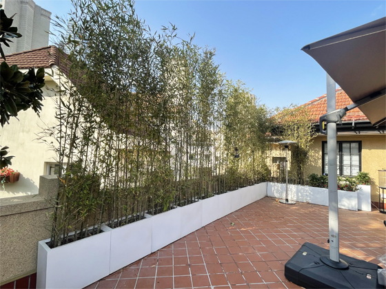 興國賓館 庭院施工與室外綠化養(yǎng)護(hù)