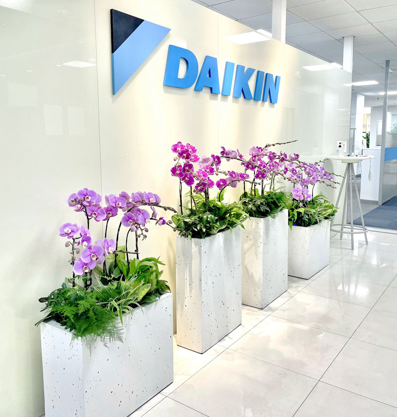 大金（中國(guó)）辦公樓綠植租賃